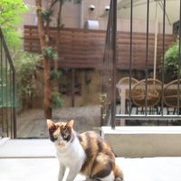 福岡市中央区大名の売買物件/ゾロゾロ。