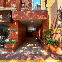 福岡市中央区荒戸の賃貸物件/けやき通りの木漏れ日。