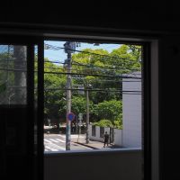 福岡市中央区大濠の賃貸物件/大濠公園のグリーンを捉えています。