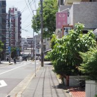 福岡市中央区大濠の賃貸物件/1階には人気な飲食店が立ち並んでいます。