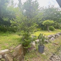 糸島市二丈吉井の賃貸物件/全て敷地内。管理はお願いしますよ。