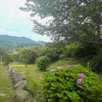 糸島市二丈吉井の賃貸物件/縁側も気持ち良さそう。