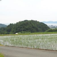 糸島市二丈吉井の賃貸物件/奥には海が見えます。