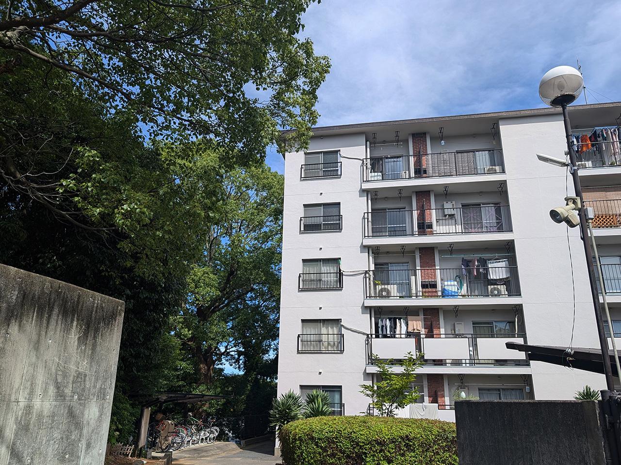 福岡市中央区桜坂の賃貸物件/敷地内に茂みがもりもりと。