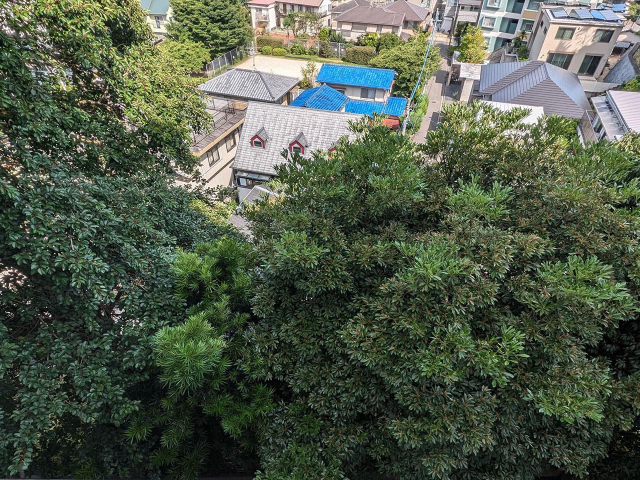福岡市中央区桜坂の賃貸物件/目線を下に向けると、視界一面に生い茂る緑が。