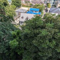 福岡市中央区桜坂の賃貸物件/目線を下に向けると、視界一面に生い茂る緑が。