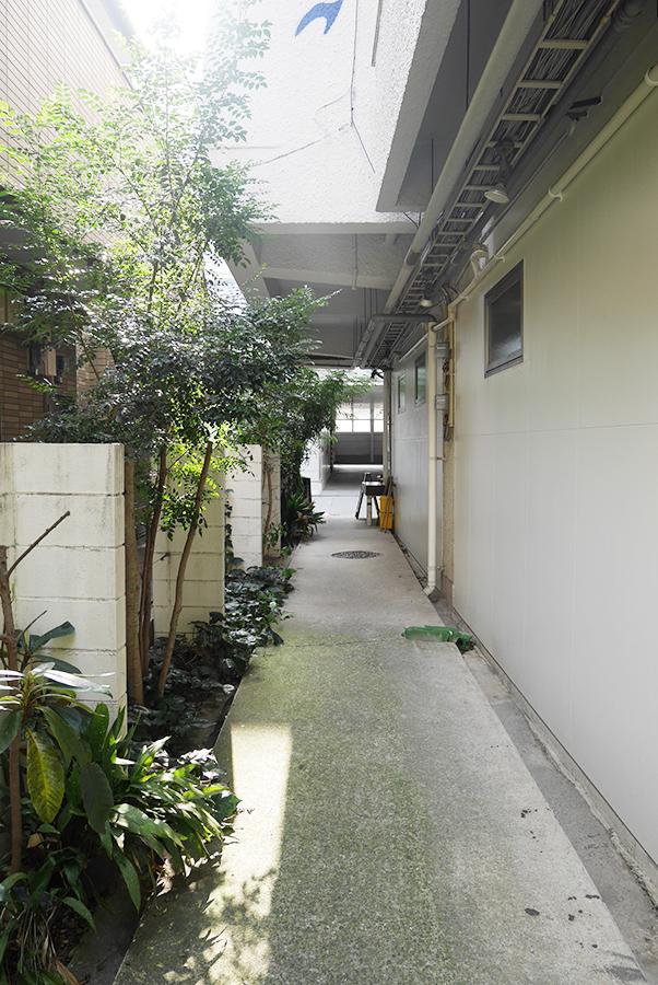 福岡市中央区清川の賃貸物件/テナント区画への通路。