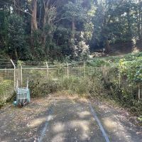 福岡市西区大字徳永の売買物件/目の前には、たくさんの木々たち
