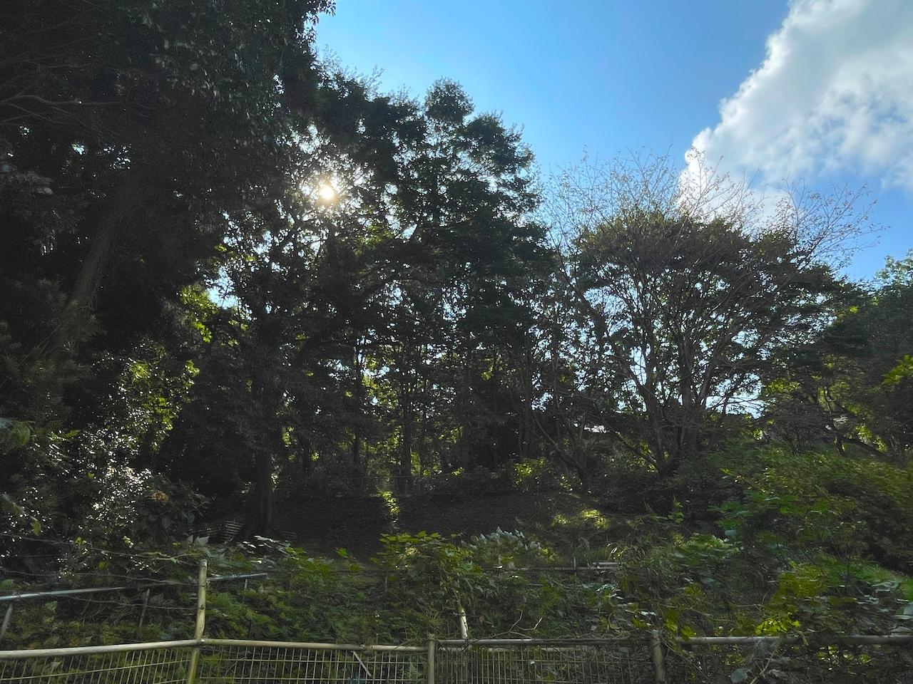 福岡市西区大字徳永の売買物件/鳥の声が聞こえる素敵な環境