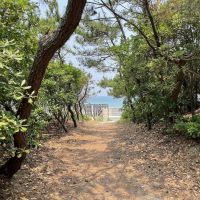 宗像市神湊の売買物件/松林を抜けると。。。