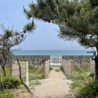 宗像市神湊の売買物件/この美しい海