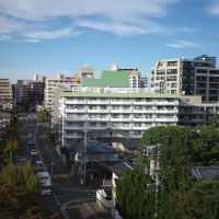 福岡市中央区今川の賃貸物件/北側には桜並木が。お部屋によっては室内からも桜を楽しめそうです。