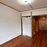 福岡市南区大楠の賃貸物件/奥のカーテンが収納部分。