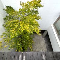 福岡市東区香椎浜の賃貸物件/テラスからは、パティオの木々も見下ろせます。