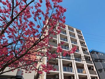 福岡市中央区今泉の賃貸物件/街とつながる私の暮らし
