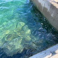 佐賀県唐津市呼子町の売買物件/水がとっても綺麗なんです。