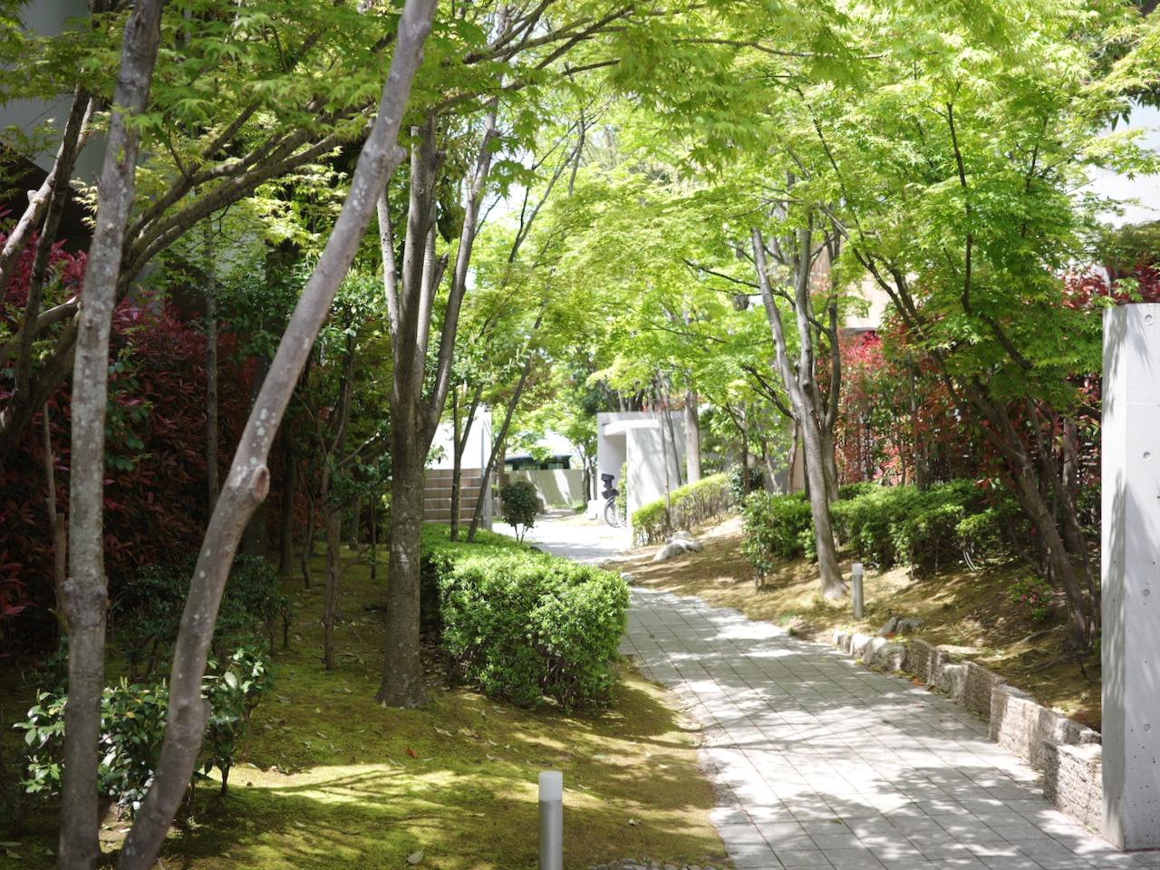 福岡市西区小戸の賃貸物件/暮らしのそばに緑があることの豊かさを、教えてくれるマンションです。