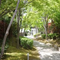 福岡市西区小戸の賃貸物件/暮らしのそばに緑があることの豊かさを、教えてくれるマンションです。