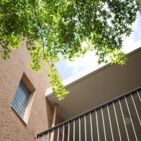 福岡市西区小戸の賃貸物件/敷地内には、モミジの木も多く植えられています。