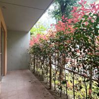 福岡市西区小戸の賃貸物件/両側にテラスがあり、風通しも◎。外からの視線は植栽がふんわり遮ってくれます。