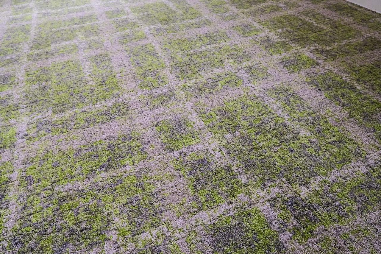 福岡市城南区鳥飼の賃貸物件/サッシの色とマッチしたカーペット