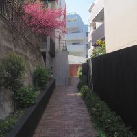 福岡市中央区桜坂の賃貸物件/坂下からの近道ルート。