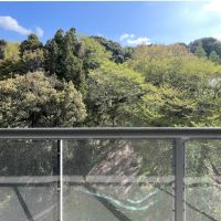 福岡市西区大字徳永の売買物件/緑とは程よい距離感。葉っぱがバルコニーに届かない距離。