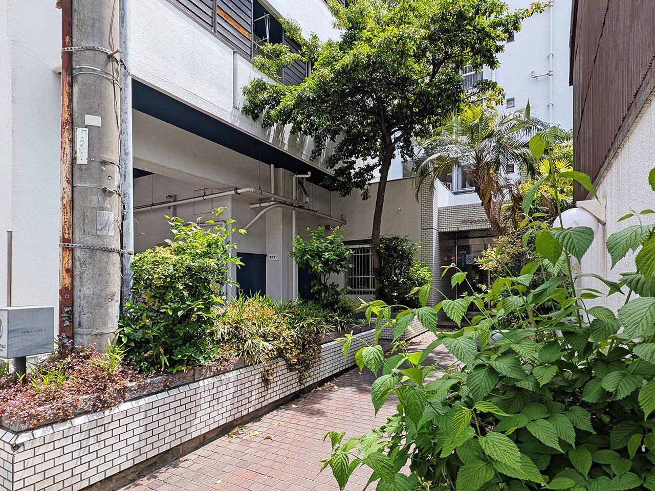 福岡市中央区清川の賃貸物件/春は緑いっぱいのエントランス。