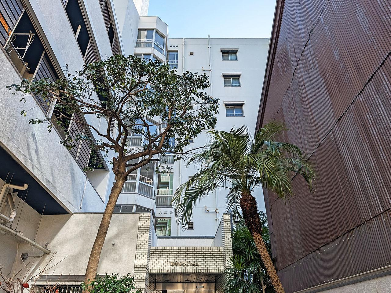 福岡市中央区清川の賃貸物件/冬は緑が落ち着いている分、外観がよく見えて、それもまた良き。