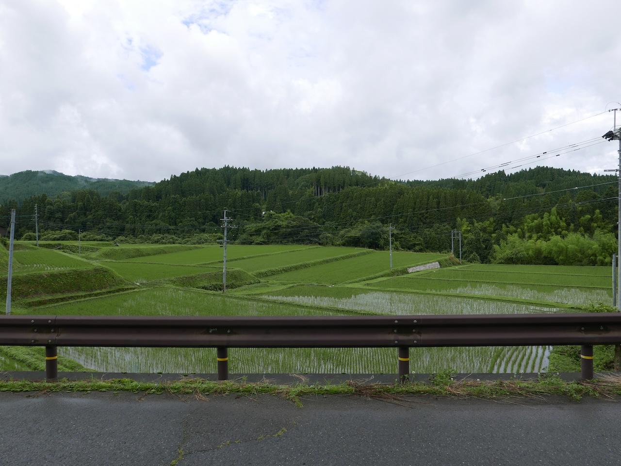熊本県阿蘇市小国大字宮原の賃貸物件/緑豊かな田園風景