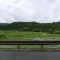 熊本県阿蘇市小国大字宮原の賃貸物件/緑豊かな田園風景