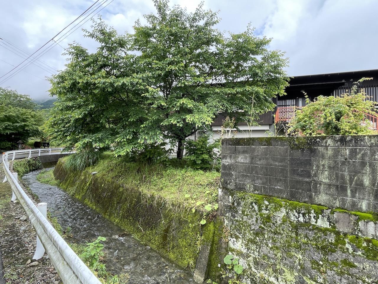 福岡県久留米市山本町の売買物件/春には桜が満開です。