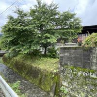 福岡県久留米市山本町の売買物件/春には桜が満開です。