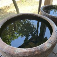 糸島市長野の賃貸物件/区画B：これは！！ぜひメダカを飼うしかない。