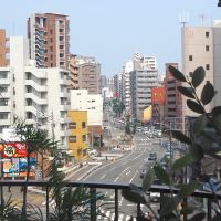 福岡市中央区六本松の賃貸物件/【407号室】城南線が見えます。