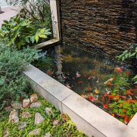 福岡市博多区博多駅前の賃貸物件/入口では金魚が元気に泳いでいました。
