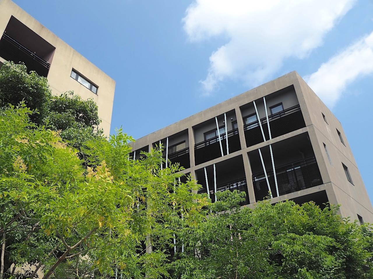 福岡市早良区南庄の売買物件/植物と共存するコーポラティブハウス。