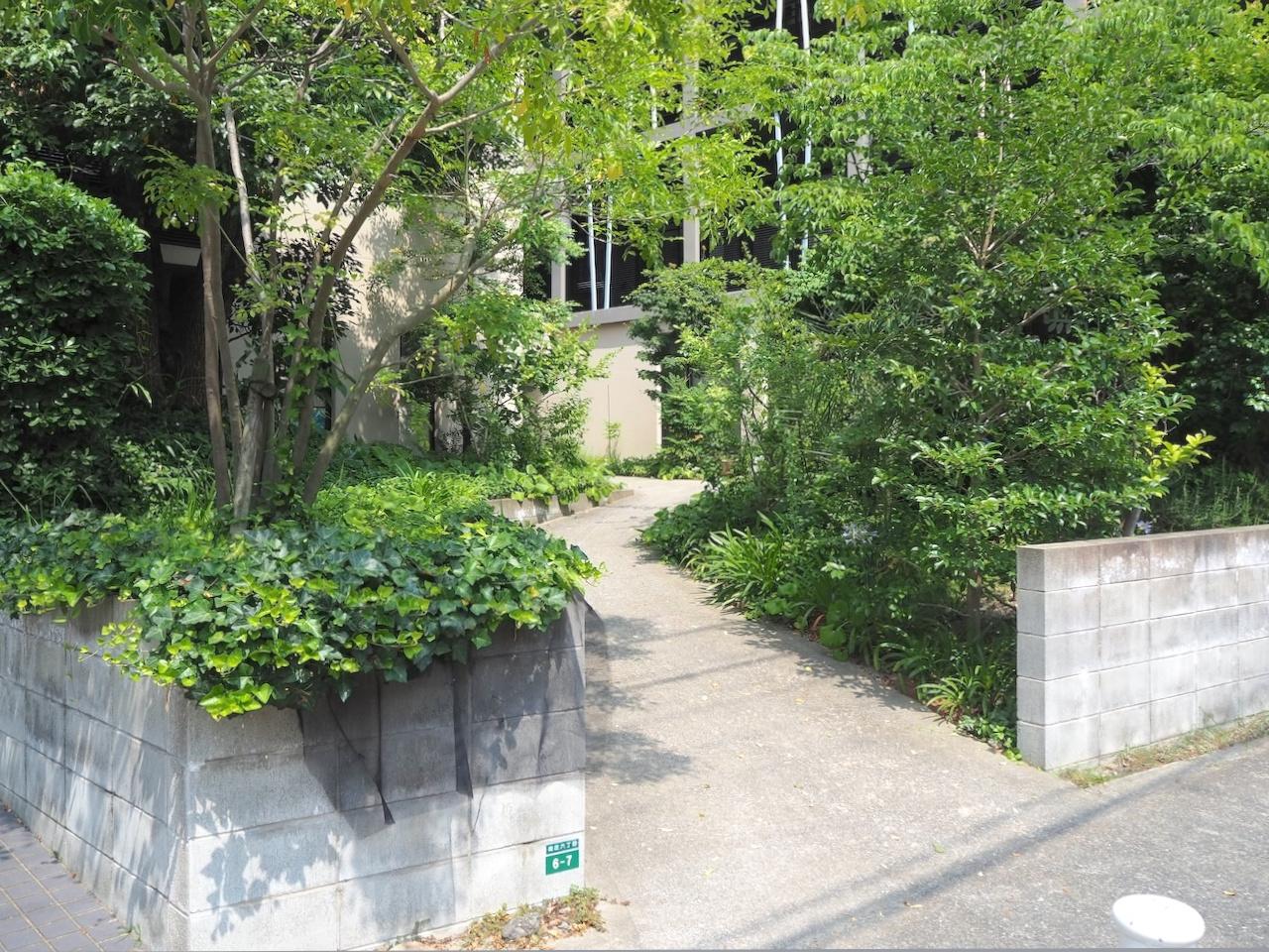 福岡市早良区南庄の売買物件/緑豊かなアプローチ。
