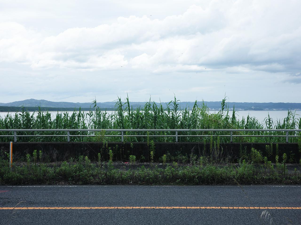 佐賀県唐津市浜玉町渕上の売買物件/海1列目。取材の日はあいにくの曇り空でしたが、それでもこの景観。