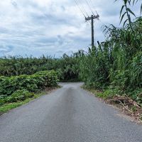 佐賀県唐津市浜玉町渕上の売買物件/坂を下った先には…