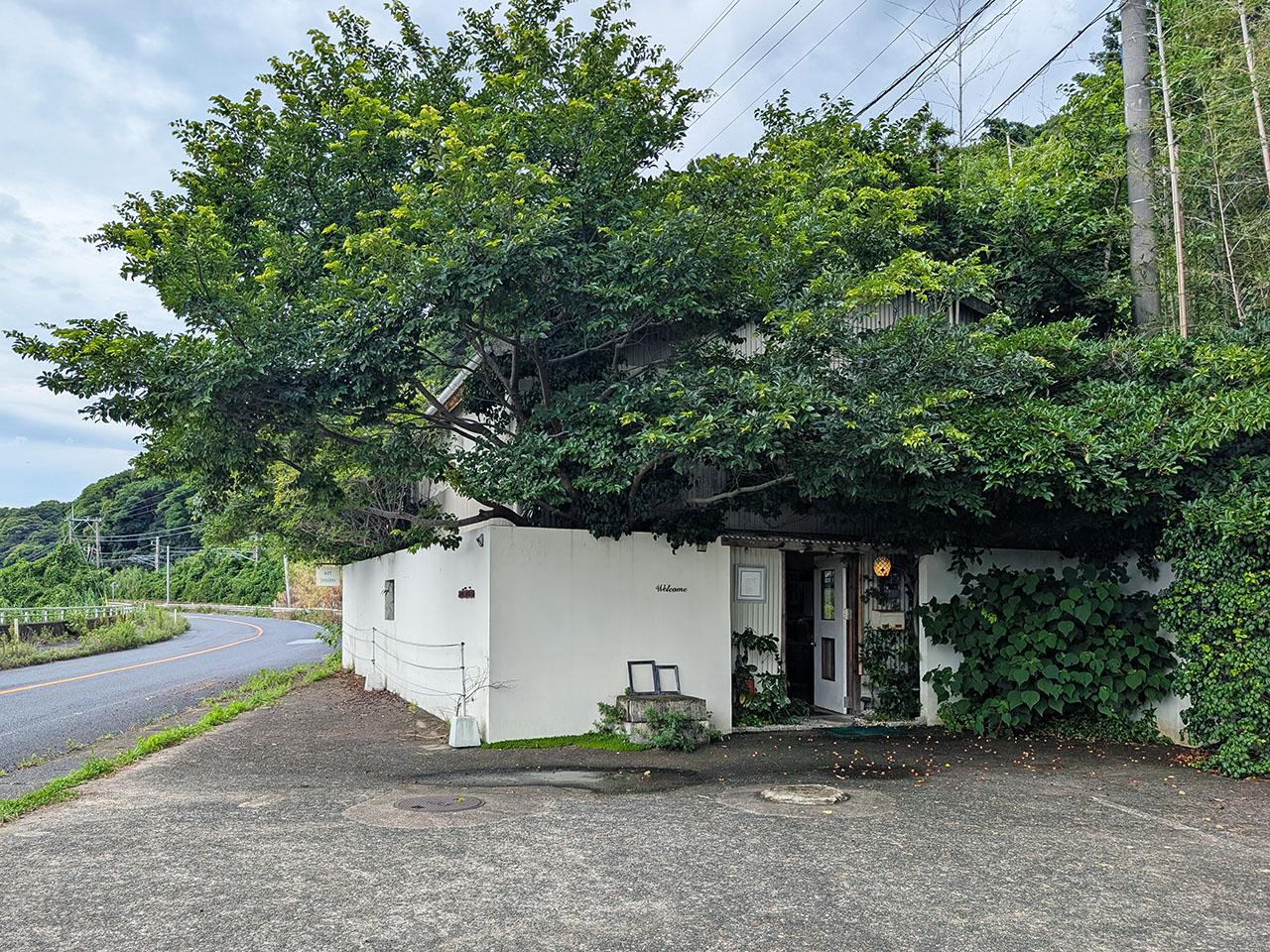 佐賀県唐津市浜玉町渕上の売買物件/芸術的な自然のアート。森と一体になっています。