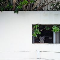 佐賀県唐津市浜玉町渕上の売買物件/小窓からチラリ。