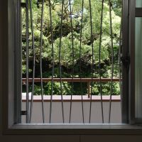 福岡市中央区赤坂の賃貸物件/窓一面の緑