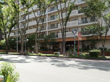 福岡市中央区赤坂の賃貸物件/だからけやき通りが好きなんだ