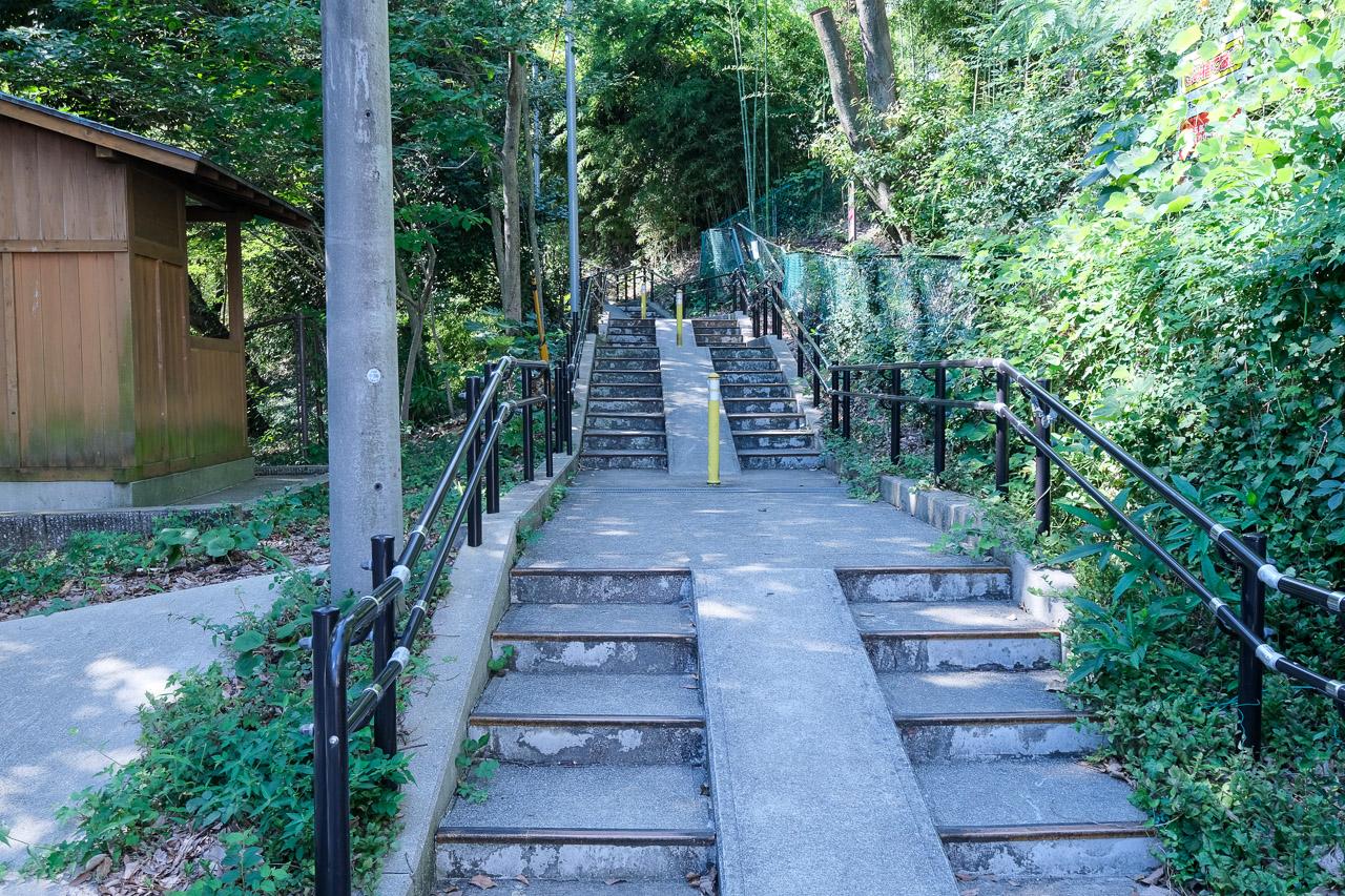 福岡市中央区桜坂の賃貸物件/家の周りには散歩によさそうな緑地が広がります。