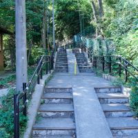 福岡市中央区桜坂の賃貸物件/家の周りには散歩によさそうな緑地が広がります。