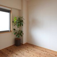福岡市博多区春町の売買物件/洋室も床材のおかげで温かみのある雰囲気。