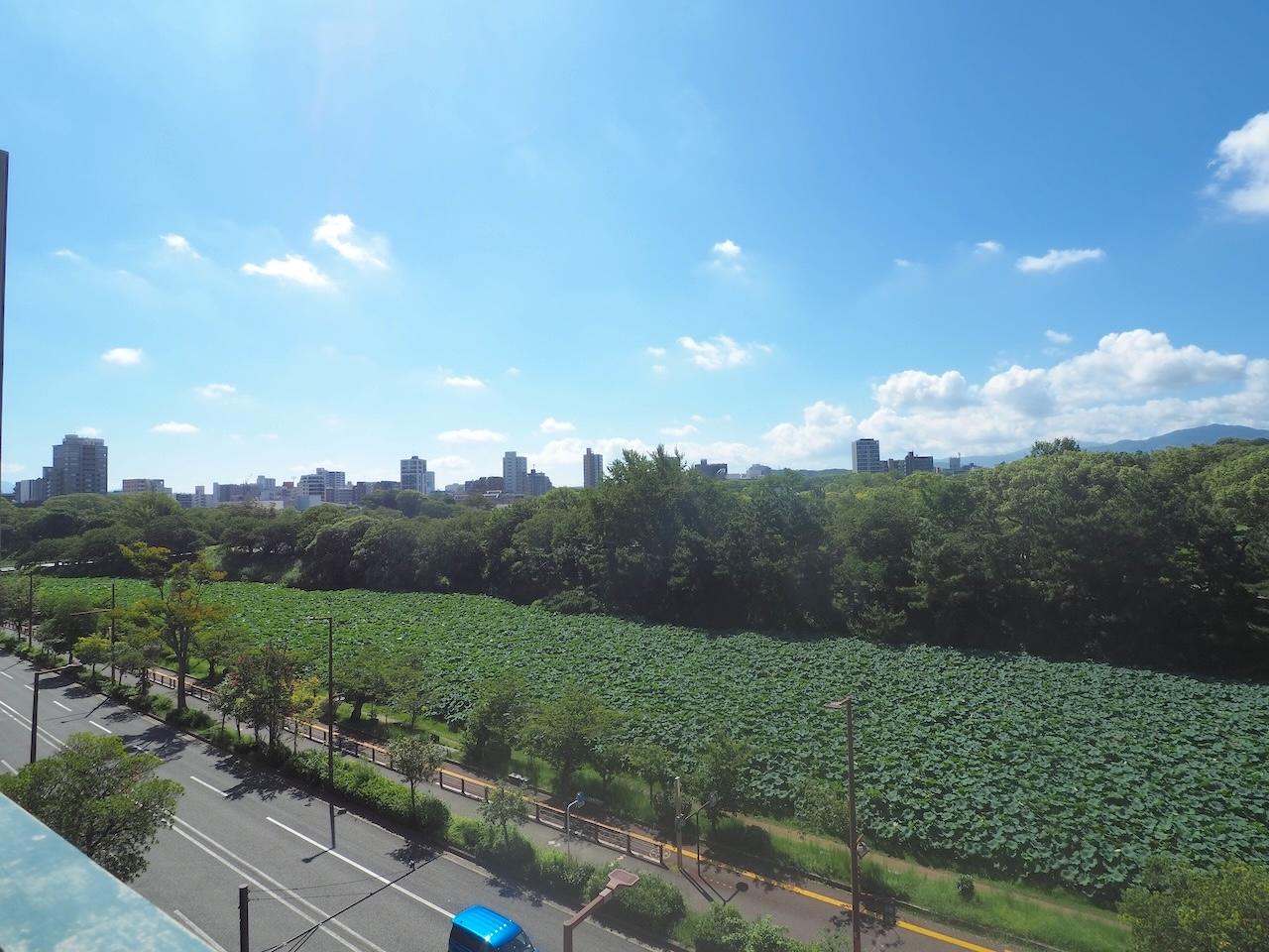 福岡市中央区大手門の賃貸物件/お濠と緑。