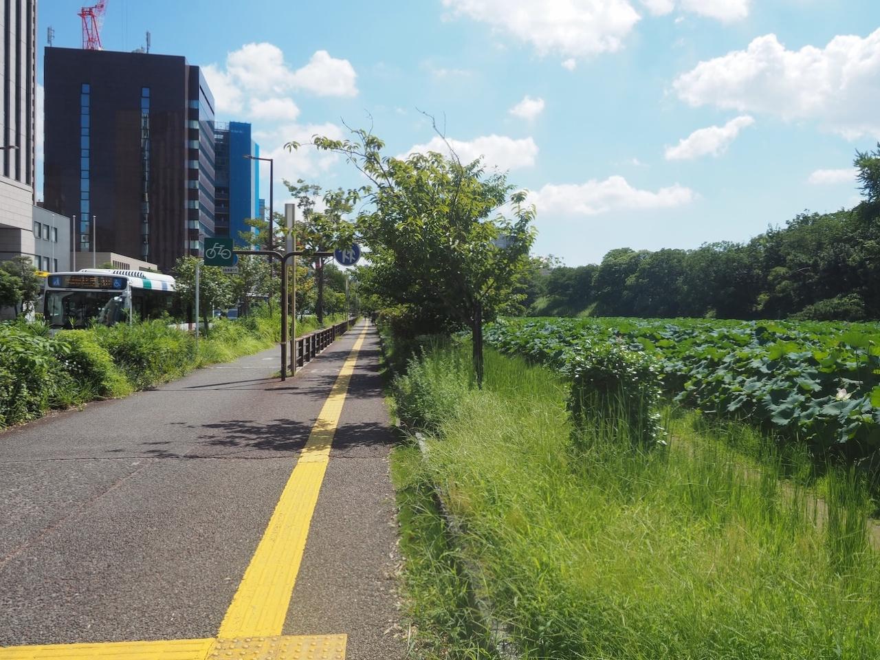 福岡市中央区大手門の賃貸物件/この濠沿いの住居用マンションというだけで大変貴重です。
