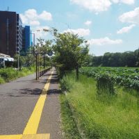 福岡市中央区大手門の賃貸物件/この濠沿いの住居用マンションというだけで大変貴重です。